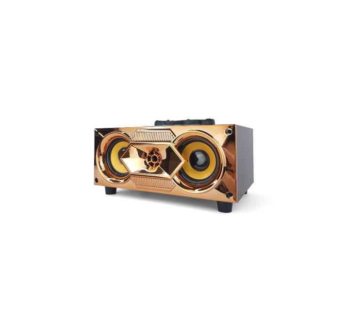 اسپیکر پرتابل مدل T1-F6